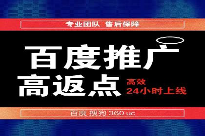 网络推广与竞价策略实战案例